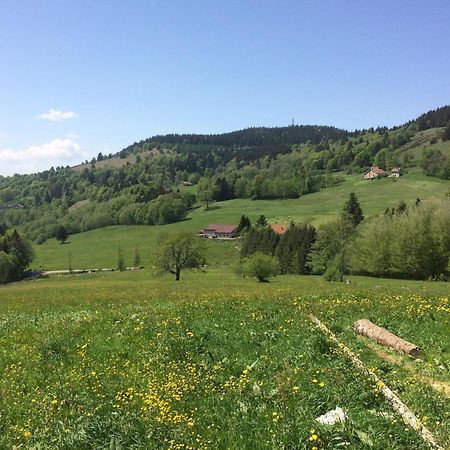 La Ferme De Jean Entre Lacs Et Montagnes Saulxures-sur-Moselotte Εξωτερικό φωτογραφία