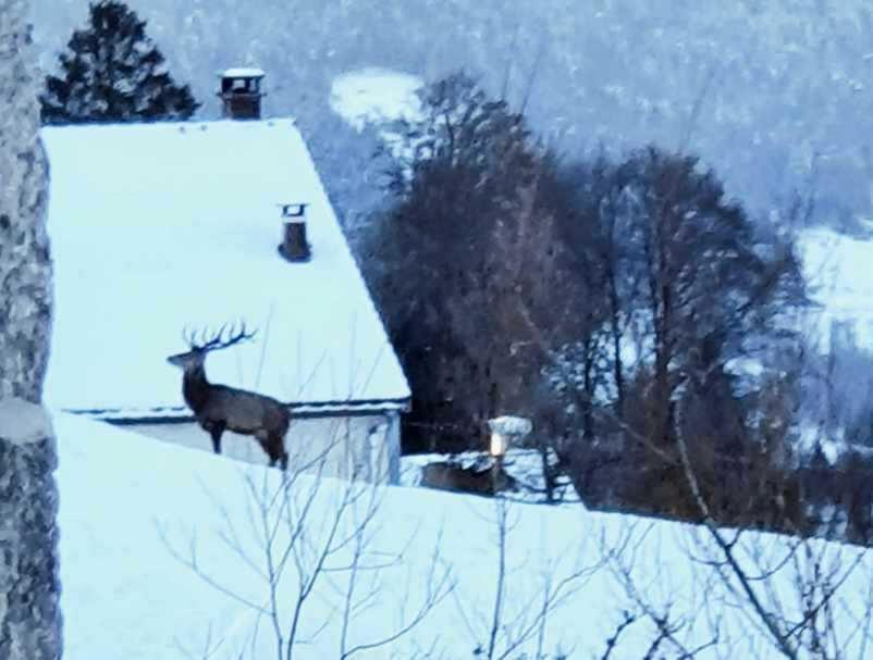 La Ferme De Jean Entre Lacs Et Montagnes Saulxures-sur-Moselotte Εξωτερικό φωτογραφία