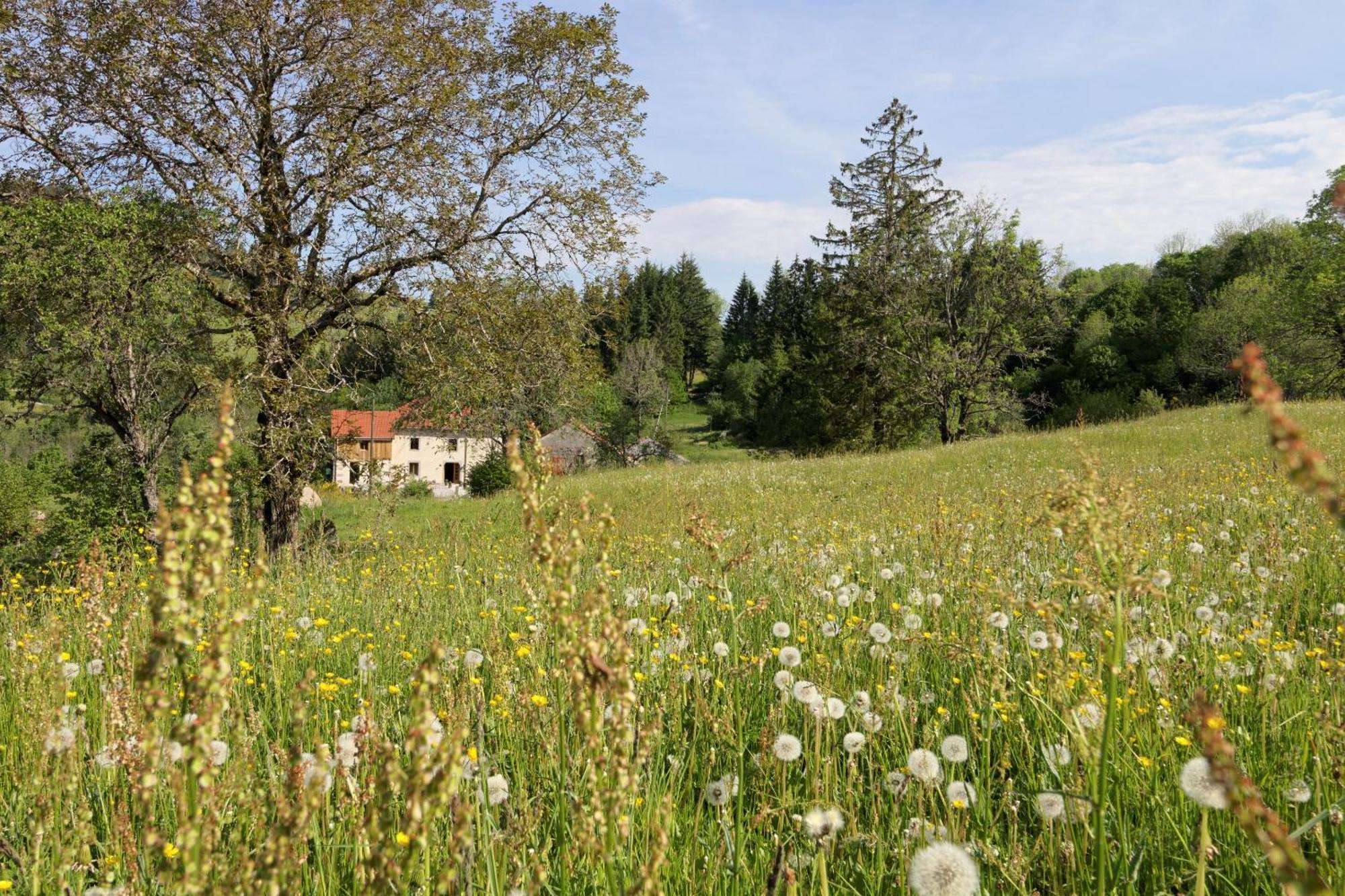 La Ferme De Jean Entre Lacs Et Montagnes Saulxures-sur-Moselotte Εξωτερικό φωτογραφία