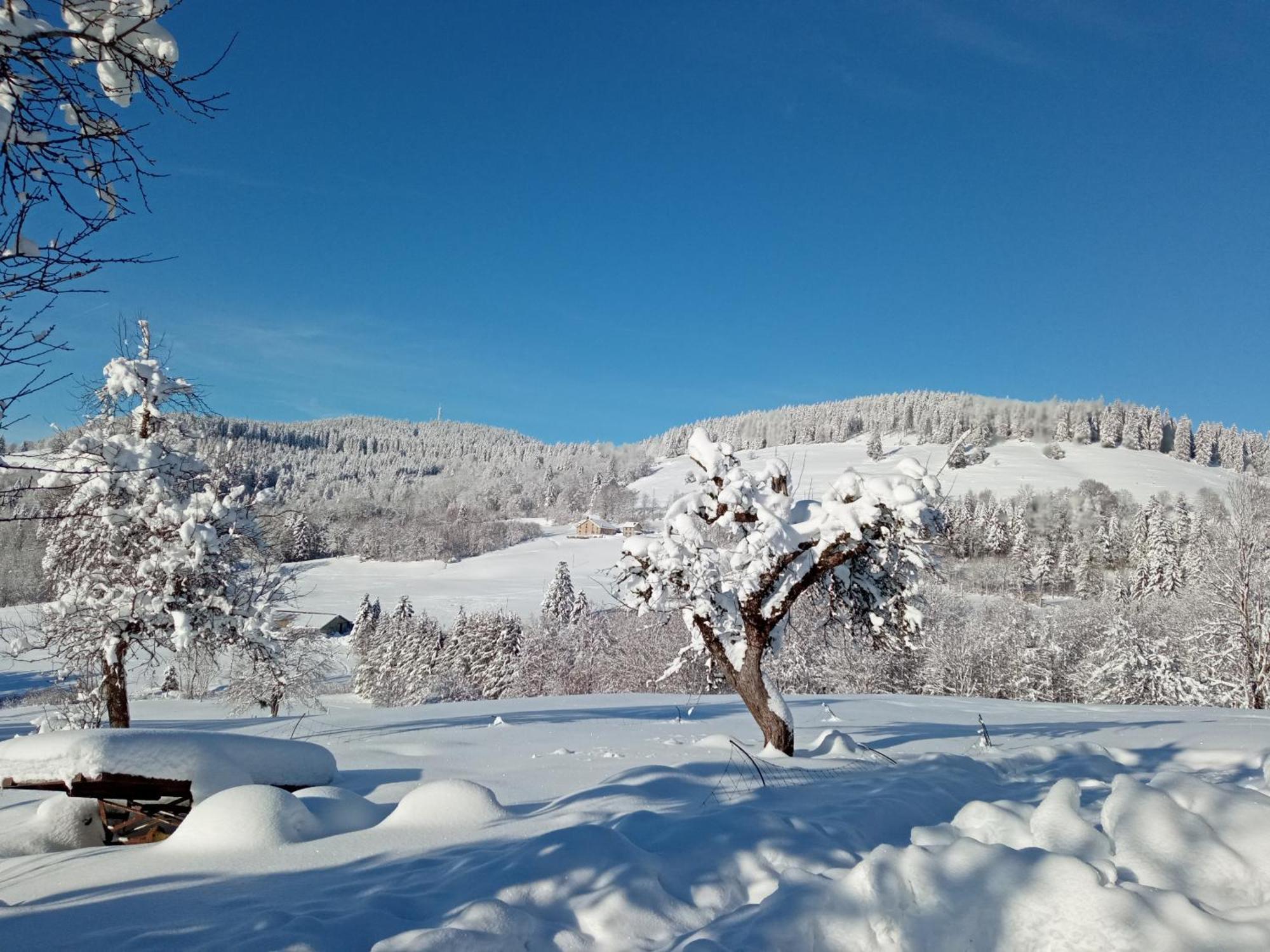 La Ferme De Jean Entre Lacs Et Montagnes Saulxures-sur-Moselotte Εξωτερικό φωτογραφία