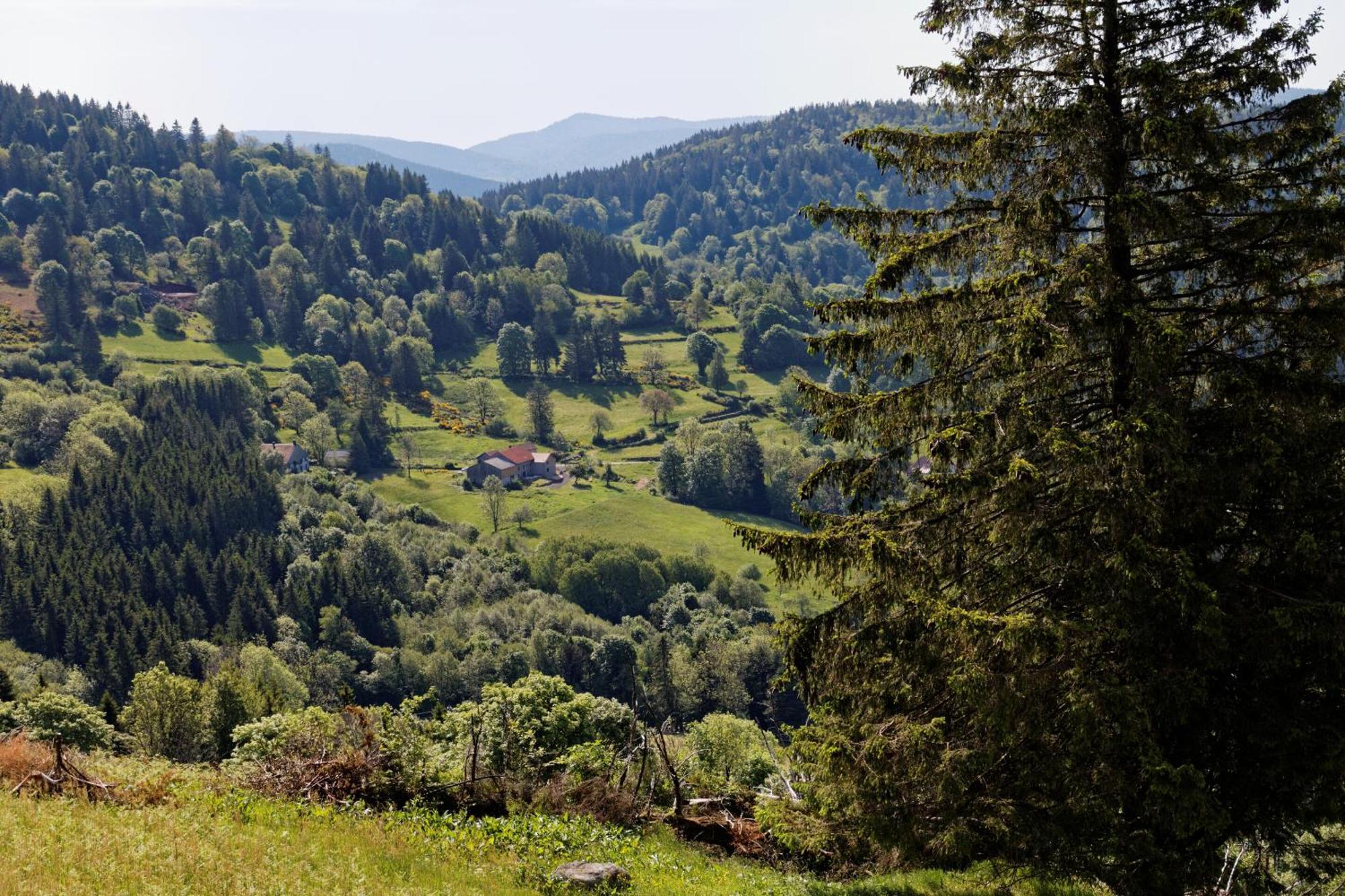 La Ferme De Jean Entre Lacs Et Montagnes Saulxures-sur-Moselotte Εξωτερικό φωτογραφία