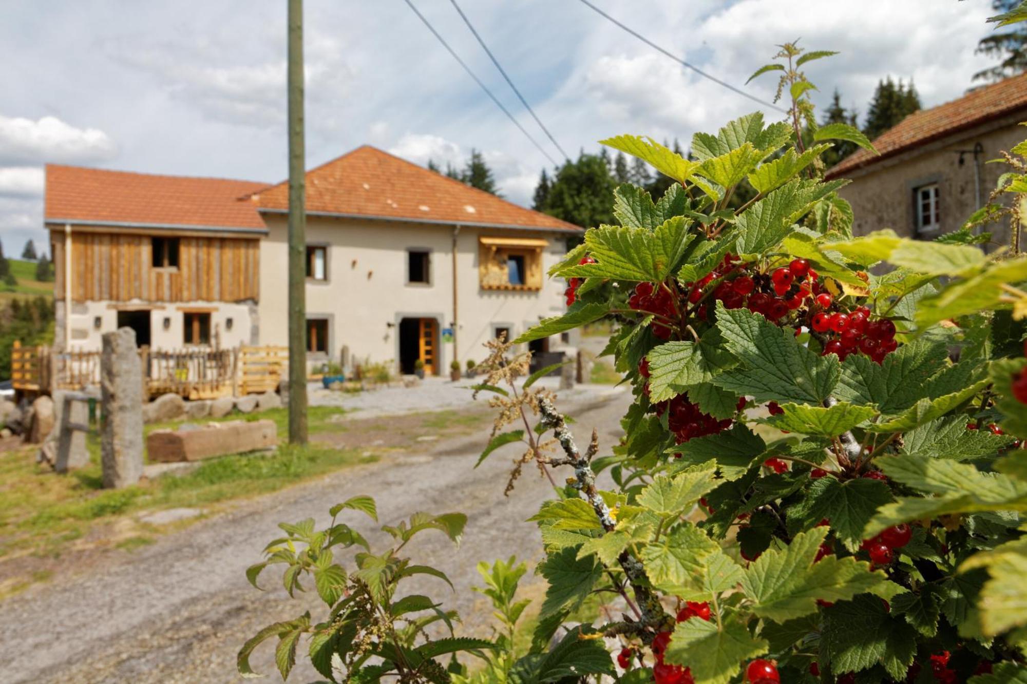 La Ferme De Jean Entre Lacs Et Montagnes Saulxures-sur-Moselotte Εξωτερικό φωτογραφία