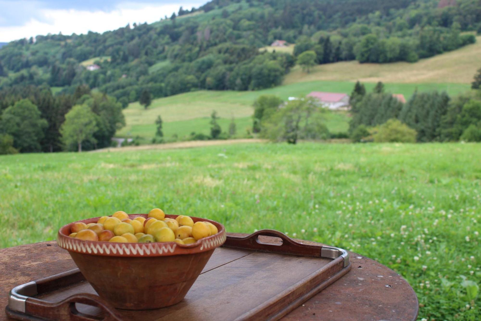 La Ferme De Jean Entre Lacs Et Montagnes Saulxures-sur-Moselotte Εξωτερικό φωτογραφία